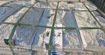 白城芝麻白蘑菇石，自然面